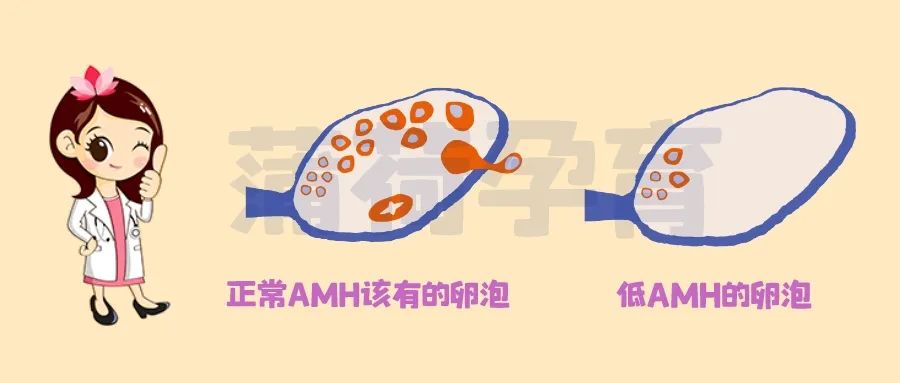 深圳檢查有冇排卵收費(fèi)多少